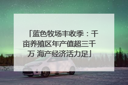 蓝色牧场丰收季：千亩养殖区年产值超三千万 海产经济活力足