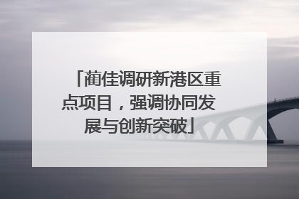 蔺佳调研新港区重点项目，强调协同发展与创新突破
