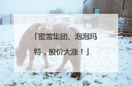 蜜雪集团、泡泡玛特，股价大涨！