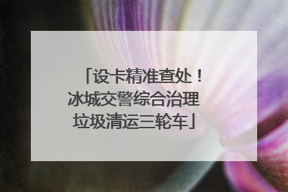 设卡精准查处！冰城交警综合治理垃圾清运三轮车