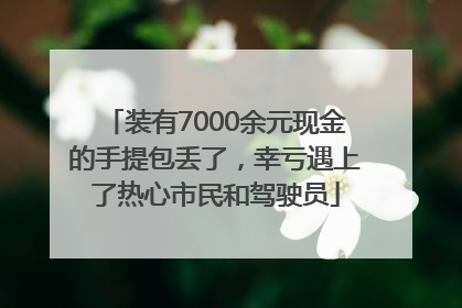 装有7000余元现金的手提包丢了，幸亏遇上了热心市民和驾驶员