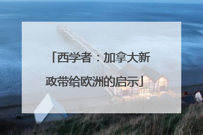 西学者：加拿大新政带给欧洲的启示