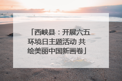 西峡县：开展六五环境日主题活动 共绘美丽中国新画卷