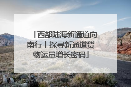 西部陆海新通道向南行丨探寻新通道货物运量增长密码