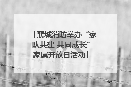 襄城消防举办“家队共建 共同成长”家属开放日活动