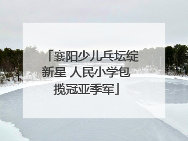 襄阳少儿乓坛绽新星 人民小学包揽冠亚季军