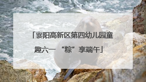 襄阳高新区第四幼儿园童趣六一 “粽”享端午