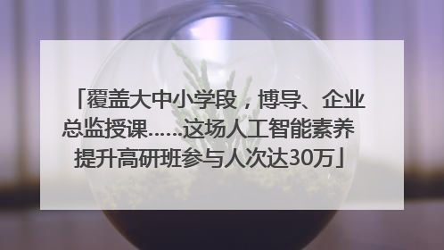 覆盖大中小学段，博导、企业总监授课……这场人工智能素养提升高研班参与人次达30万