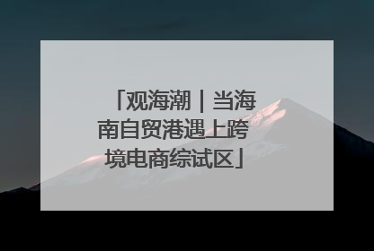 观海潮｜当海南自贸港遇上跨境电商综试区