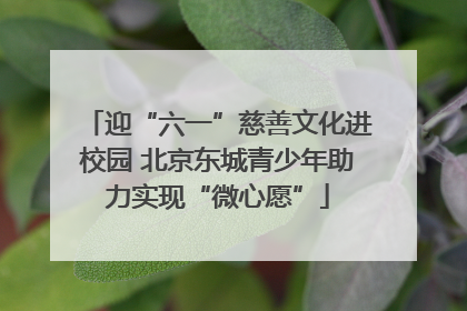 迎“六一”慈善文化进校园 北京东城青少年助力实现“微心愿”