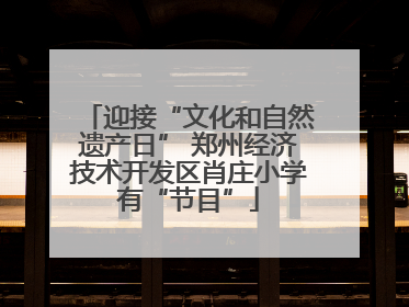 迎接“文化和自然遗产日” 郑州经济技术开发区肖庄小学有“节目”