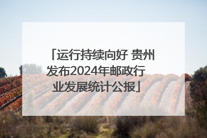 运行持续向好 贵州发布2024年邮政行业发展统计公报