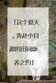 这个夏天，奔赴小目源的田园康养之约