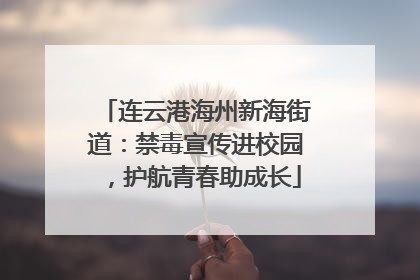 连云港海州新海街道：禁毒宣传进校园，护航青春助成长