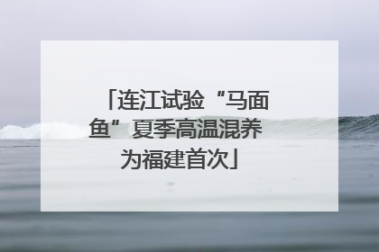 连江试验“马面鱼”夏季高温混养 为福建首次