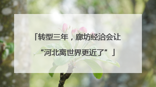 转型三年，廊坊经洽会让“河北离世界更近了”