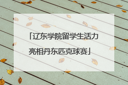 辽东学院留学生活力亮相丹东匹克球赛