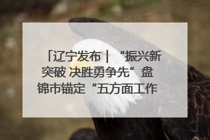 辽宁发布｜“振兴新突破 决胜勇争先”盘锦市锚定“五方面工作”力争全年地区生产总值增长5.5%左右