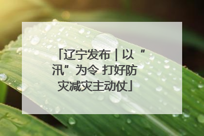 辽宁发布｜以“汛”为令 打好防灾减灾主动仗