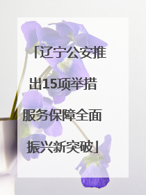 辽宁公安推出15项举措服务保障全面振兴新突破
