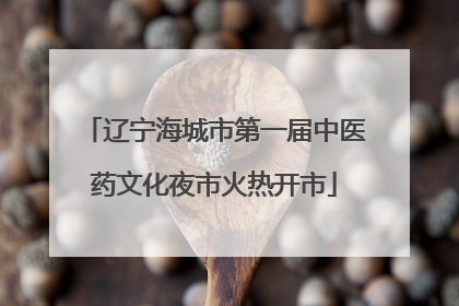 辽宁海城市第一届中医药文化夜市火热开市