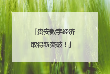 贵安数字经济取得新突破！