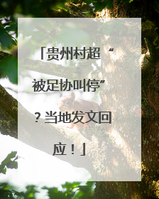贵州村超“被足协叫停”？当地发文回应！