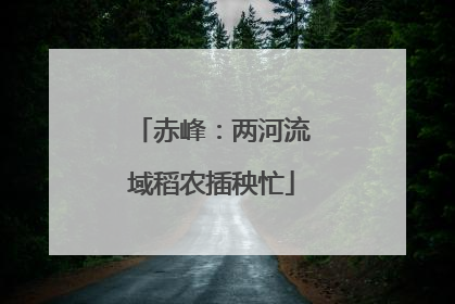 赤峰：两河流域稻农插秧忙