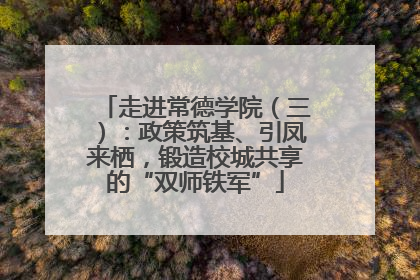 走进常德学院（三）：政策筑基、引凤来栖，锻造校城共享的“双师铁军”