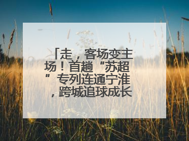 走，客场变主场！首趟“苏超”专列连通宁淮，跨城追球成长三角人新日常