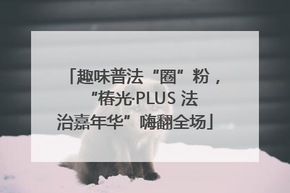 趣味普法“圈”粉，“椿光·PLUS 法治嘉年华”嗨翻全场