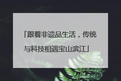 跟着非遗品生活，传统与科技相遇宝山滨江