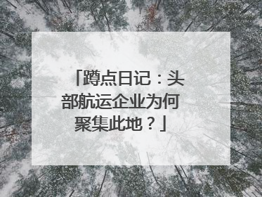 蹲点日记：头部航运企业为何聚集此地？