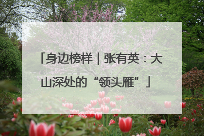 身边榜样｜张有英：大山深处的“领头雁”
