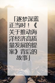 逐梦深蓝正当时！《关于推动海洋经济高质量发展的提案》背后的故事