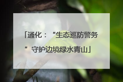 通化：“生态巡防警务”守护边境绿水青山