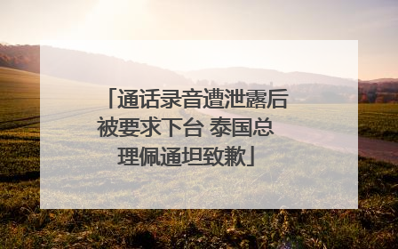 通话录音遭泄露后被要求下台 泰国总理佩通坦致歉