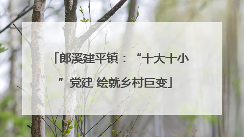 郎溪建平镇：“十大十小”党建 绘就乡村巨变
