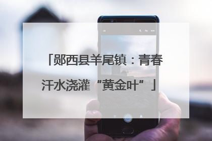 郧西县羊尾镇：青春汗水浇灌“黄金叶”