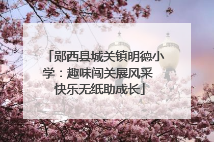郧西县城关镇明德小学：趣味闯关展风采 快乐无纸助成长