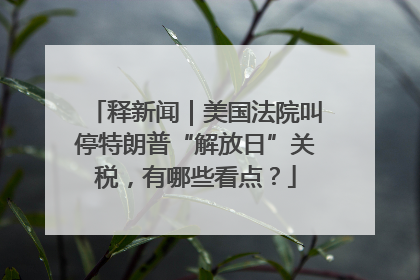 释新闻｜美国法院叫停特朗普“解放日”关税，有哪些看点？