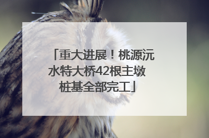 重大进展！桃源沅水特大桥42根主墩桩基全部完工