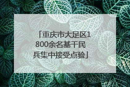 重庆市大足区1800余名基干民兵集中接受点验