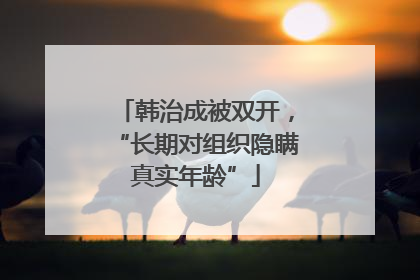 韩治成被双开，“长期对组织隐瞒真实年龄”