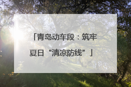 青岛动车段：筑牢夏日“清凉防线”