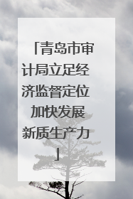 青岛市审计局立足经济监督定位 加快发展新质生产力