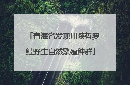 青海省发现川陕哲罗鲑野生自然繁殖种群