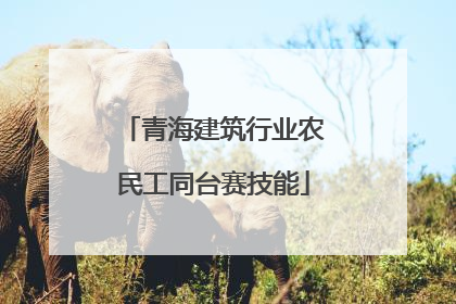 青海建筑行业农民工同台赛技能