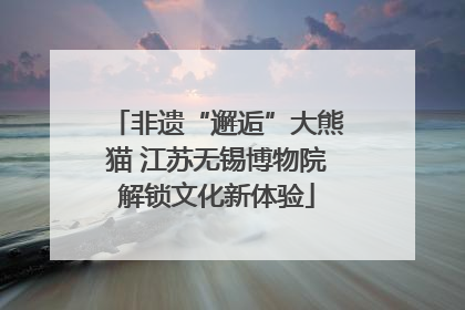 非遗“邂逅”大熊猫 江苏无锡博物院解锁文化新体验