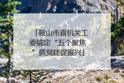 鞍山市直机关工委锚定“五个聚焦”抓党建促振兴
